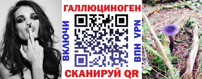 Купить где  Лебедянь  Галлюциногенные грибы Psilocybine cubensis 
